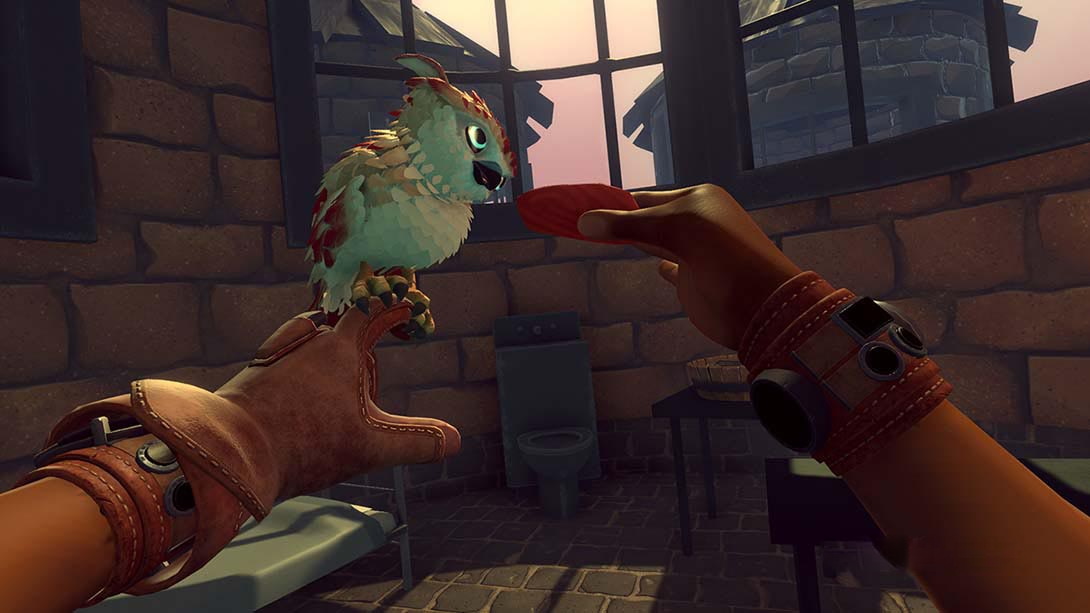 图片[1]-[Switch游戏]猎鹰纪元 Falcon Age-梦境潮玩