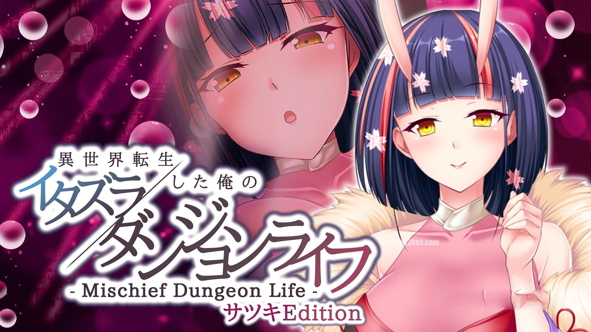 [Switch游戏]異世界転生した俺のイタズラダンジョンライフ – Mischief Dungeon Life – サツキEdition Another World Satsuki-梦境潮玩