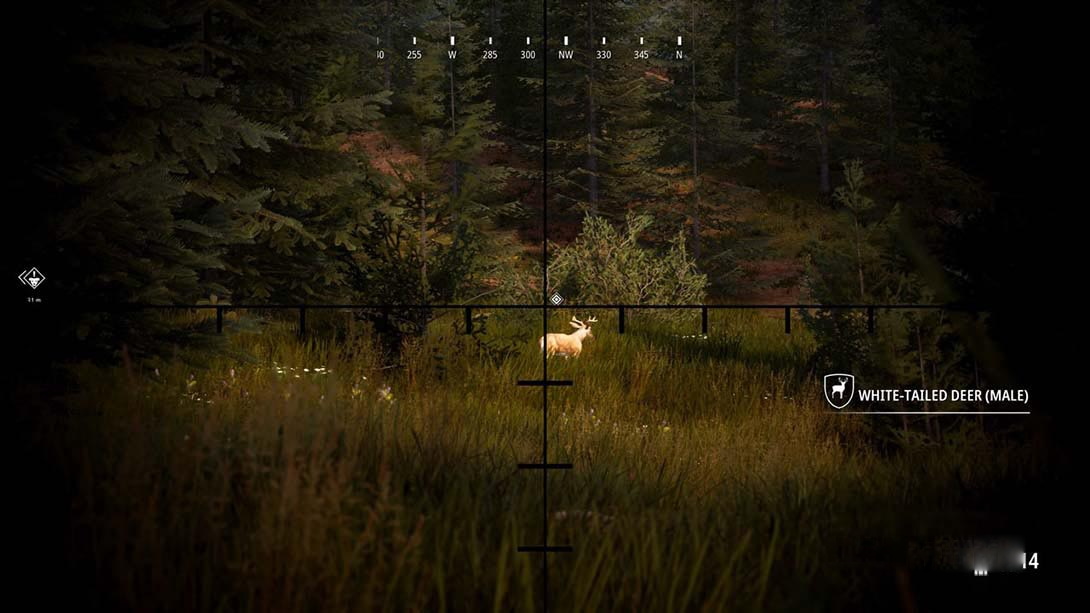 图片[1]-[Switch游戏]狩猎模拟2 Hunting Simulator 2-梦境潮玩