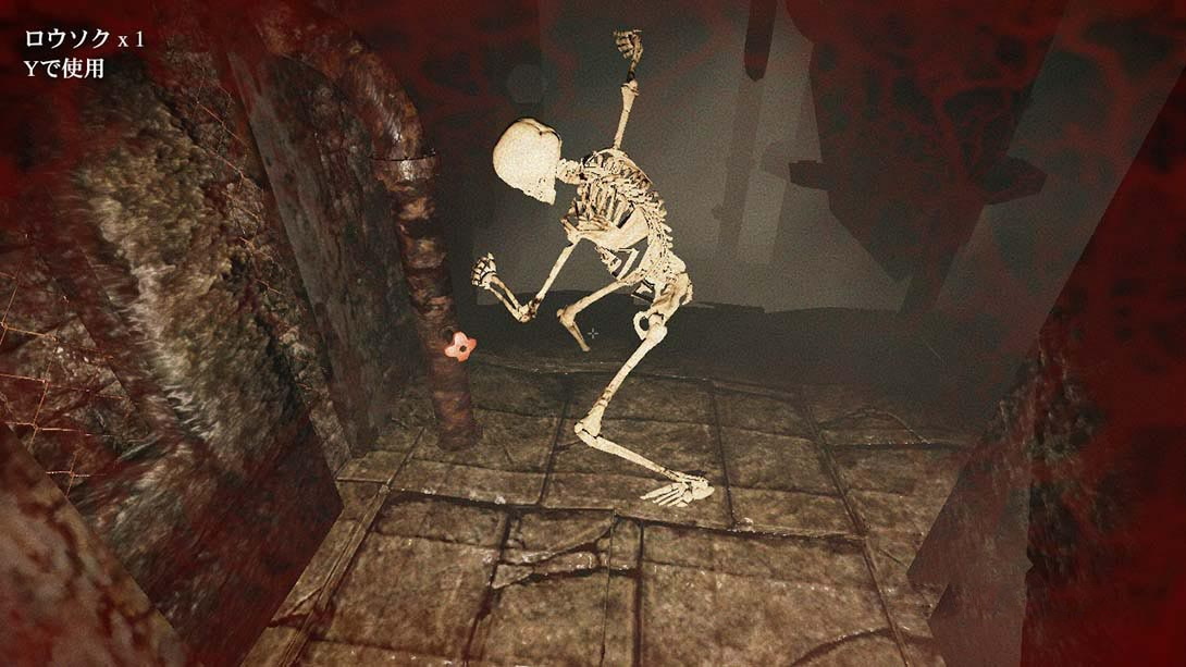 图片[1]-[Switch游戏]地下城噩梦 Dungeon Nightmares 1 + 2 Collection-梦境潮玩