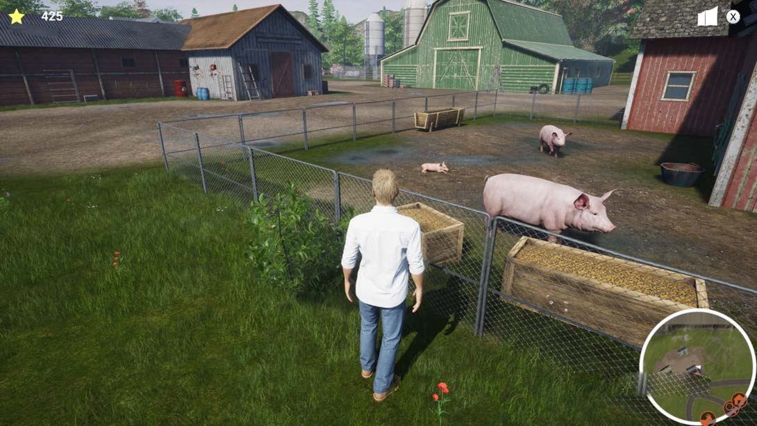 图片[1]-[Switch游戏]我的生活:农场兽医 My Life: Farm Vet-梦境潮玩
