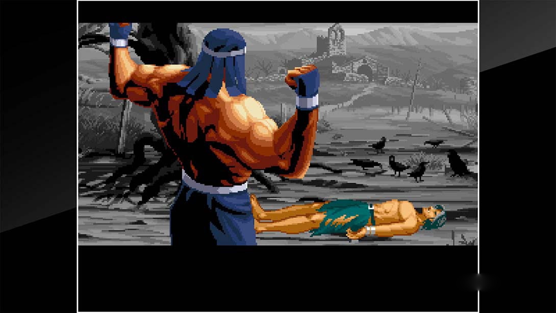 图片[1]-[Switch游戏]ACA NEOGEO 龙虎之拳3 ACA NEOGEO ART OF FIGHTING 3-梦境潮玩