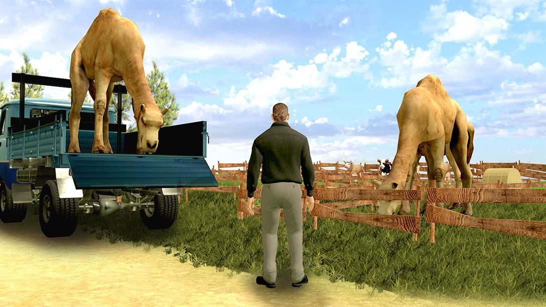图片[1]-[Switch游戏]Animals Transport Simulator – car driving & parking games real zoo park-梦境潮玩