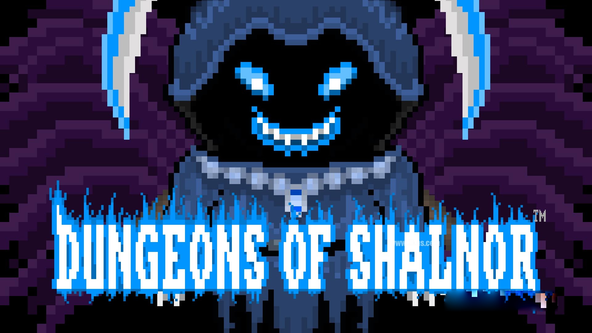 [Switch游戏]沙尔诺地牢 Dungeons of Shalnor-梦境潮玩