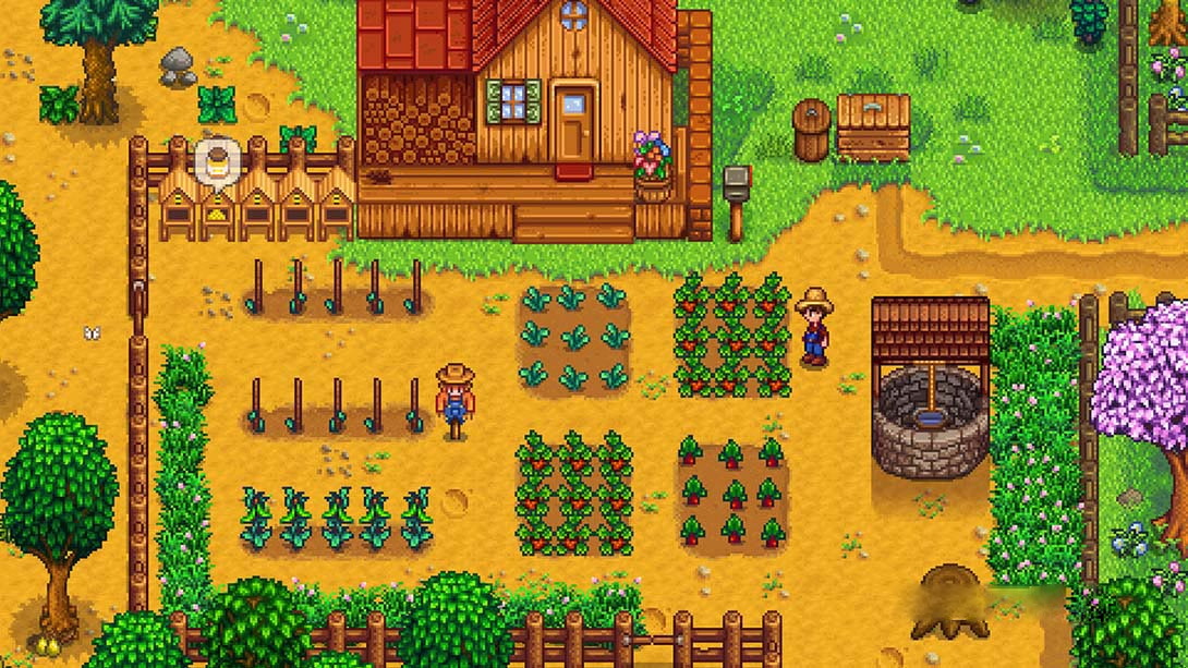 图片[1]-[Switch游戏]星露谷物语 Stardew Valley-梦境潮玩