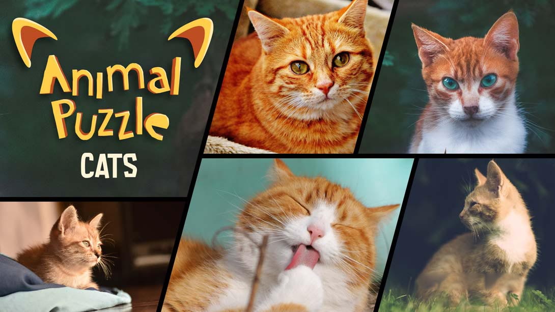 [Switch游戏]动物拼图猫 Animal Puzzle Cats-梦境潮玩