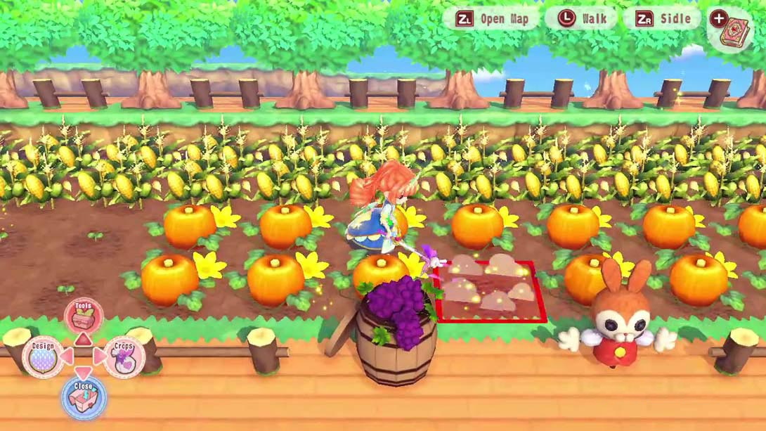 图片[1]-[Switch游戏]美丽公主神奇花园岛 Pretty Princess Magical Garden Island-梦境潮玩