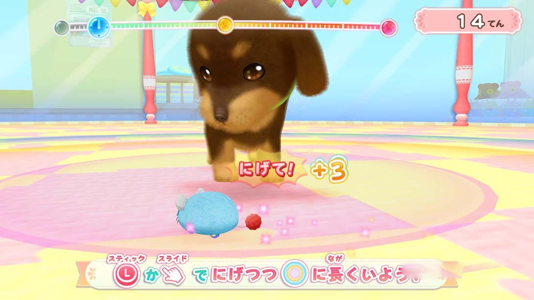图片[1]-[Switch游戏]汪喵宠物店 与可爱宠物相伴的每一天 Wannyan Pet Shop Kawaii Pet…-梦境潮玩
