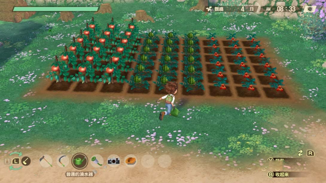 图片[1]-[Switch游戏]牧场物语 Welcome! 美丽人生 .STORY OF SEASONS A Wonderful Life-梦境潮玩