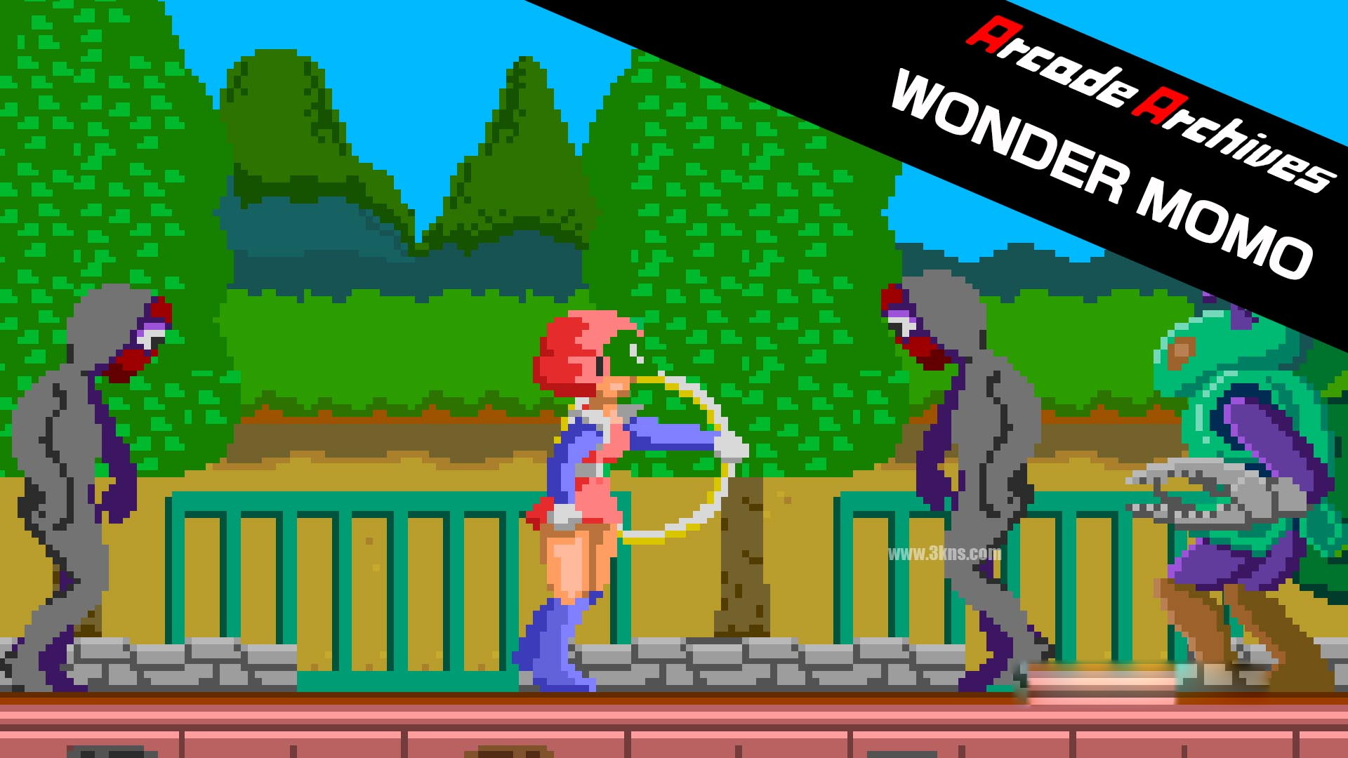 [Switch游戏]Arcade Archives WONDER MOMO-梦境潮玩