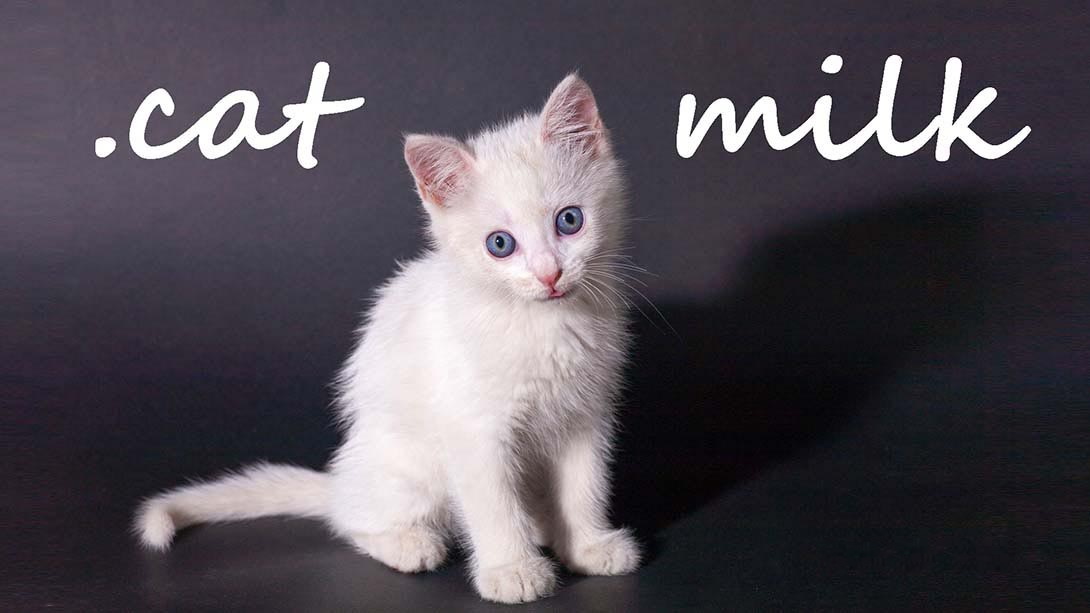 [Switch游戏]猫奶 Cat Milk-梦境潮玩
