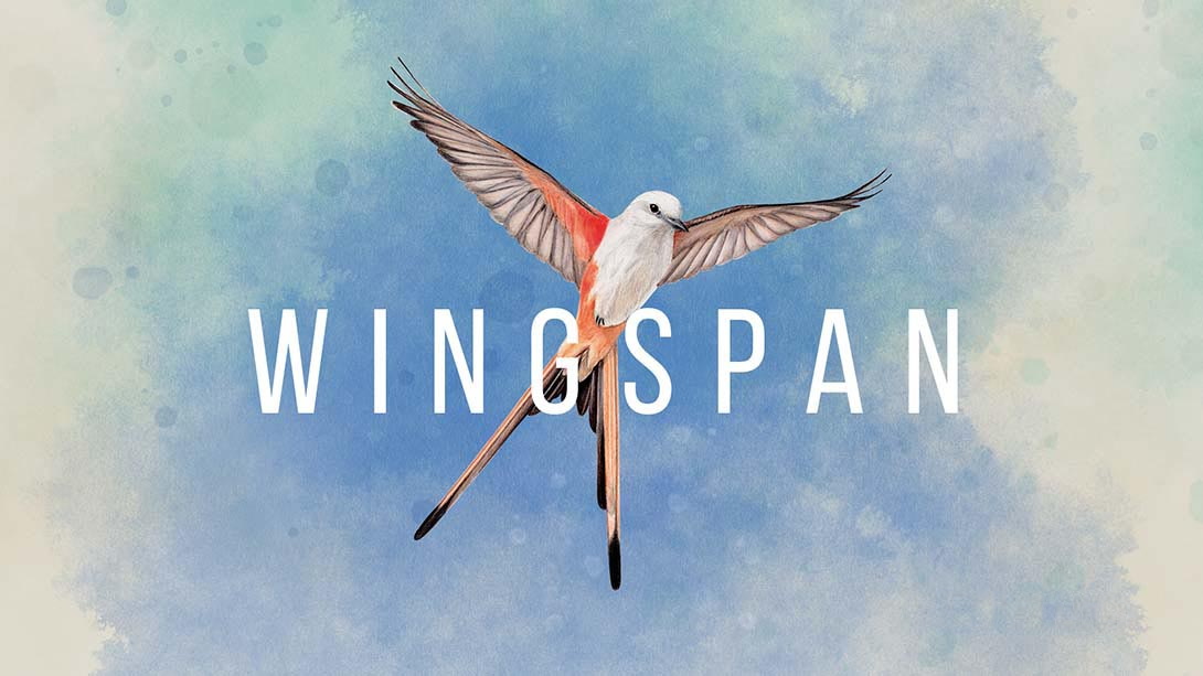 [Switch游戏]展翅翱翔 Wingspan-梦境潮玩